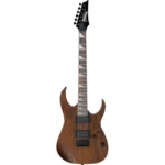 Guitarra Electrica Ibanez GRG121DX-WNF