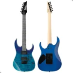 Guitarra Electrica Ibanez Grg120qasp-bgd - Image 6